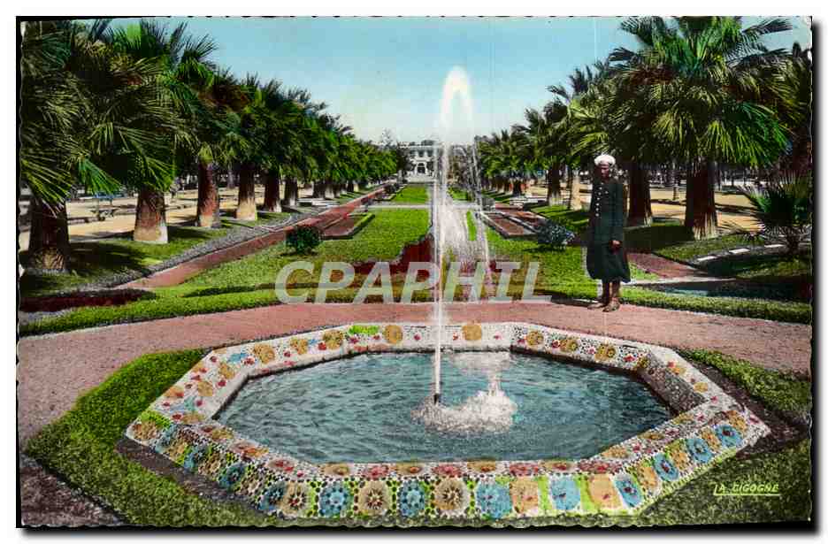CPM Casablanca Parc Lyautey Un Bassin