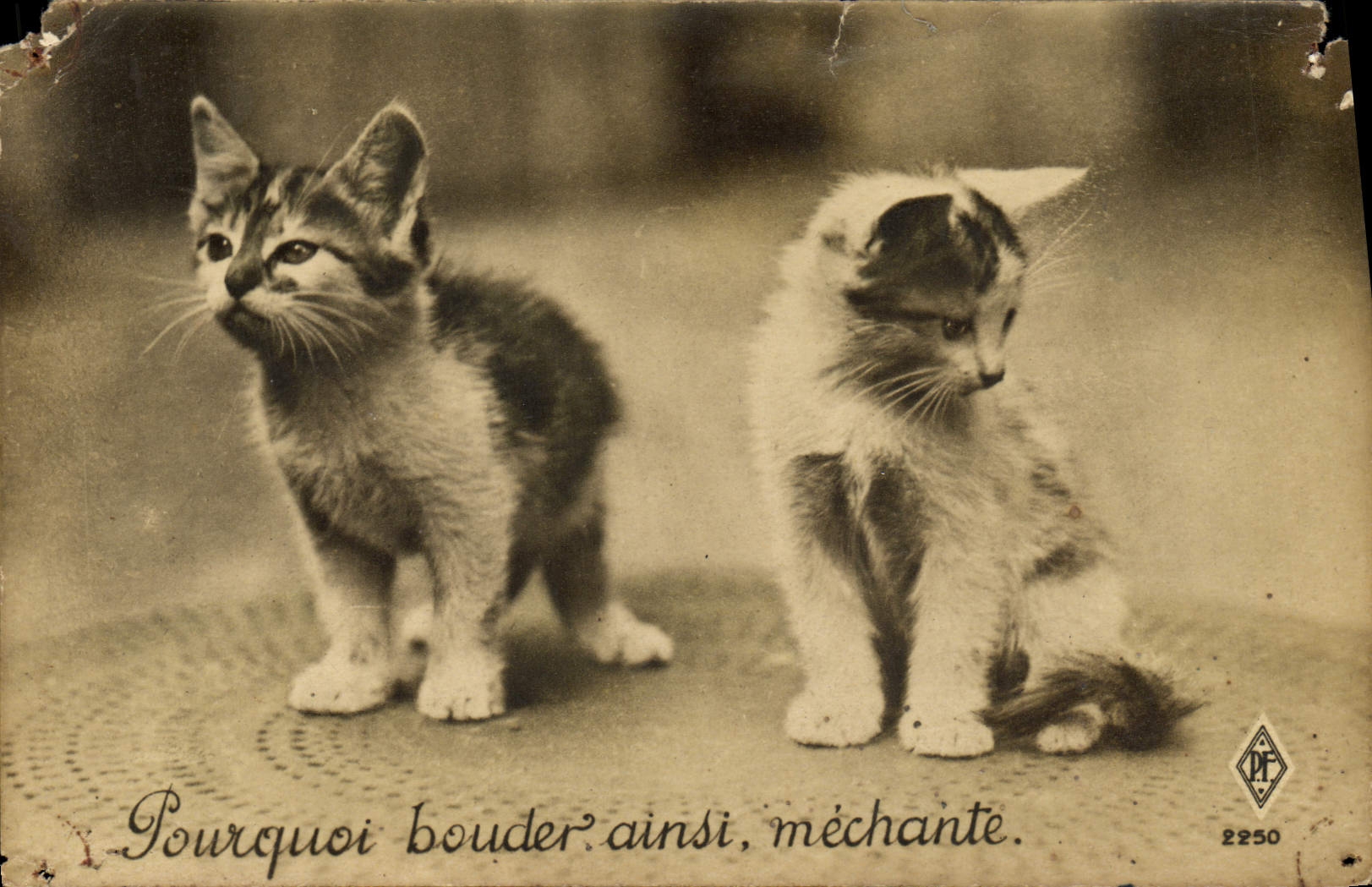 CPA Pourquoi Bouder Ainsi Mechante Chats Chat Chaton 