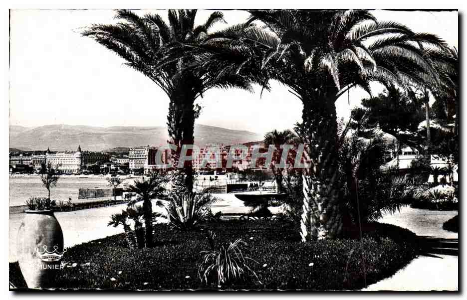 CPM Cannes Vue sur Les Hotels Prise Du Jardin Albert 1er 