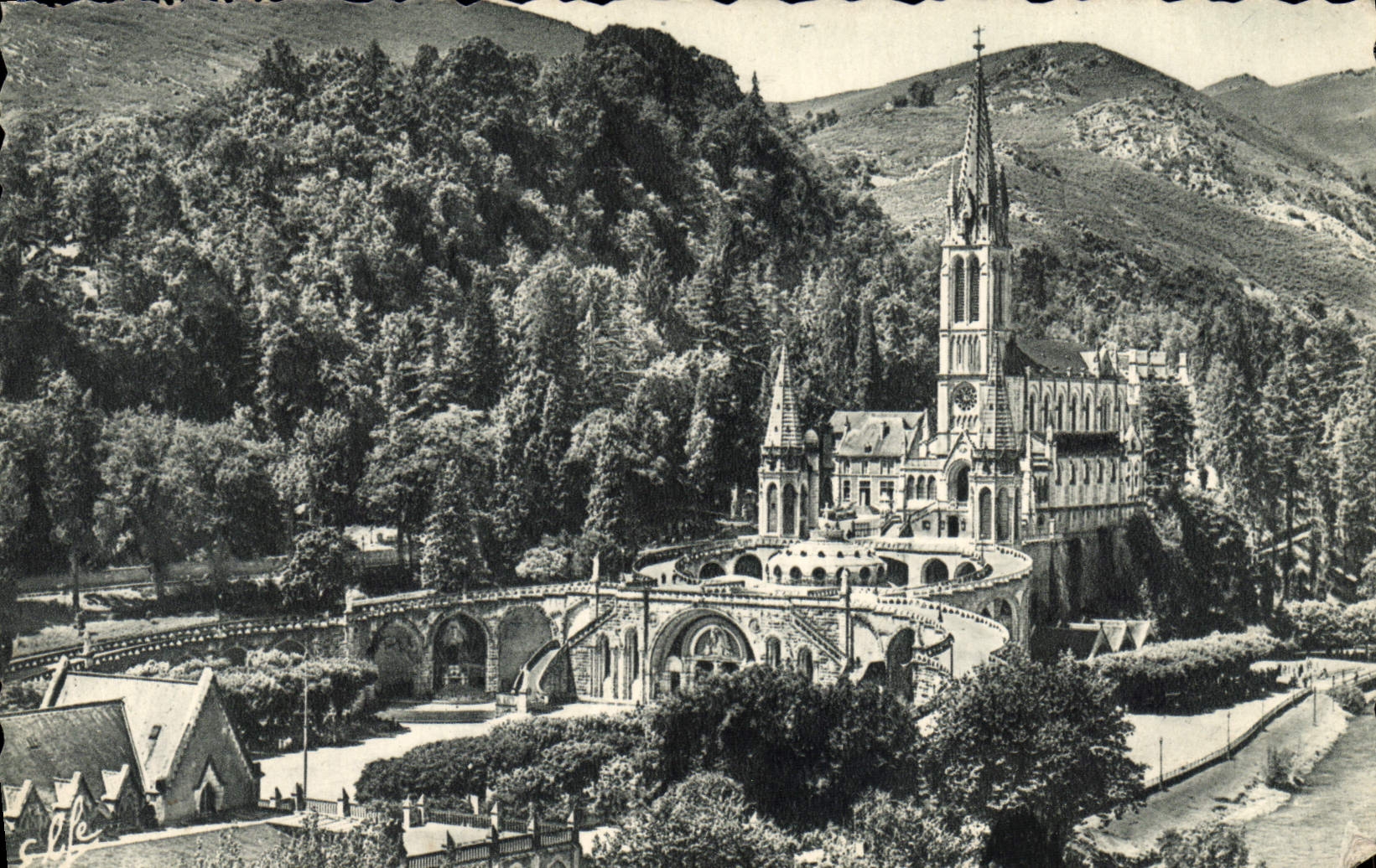 CPM Lourdes La Basilique Et Le Gave