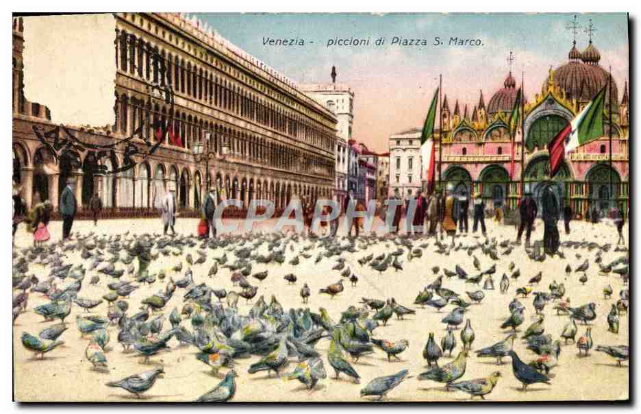 CPA Venezia Piccioni Di Piazza S Marco