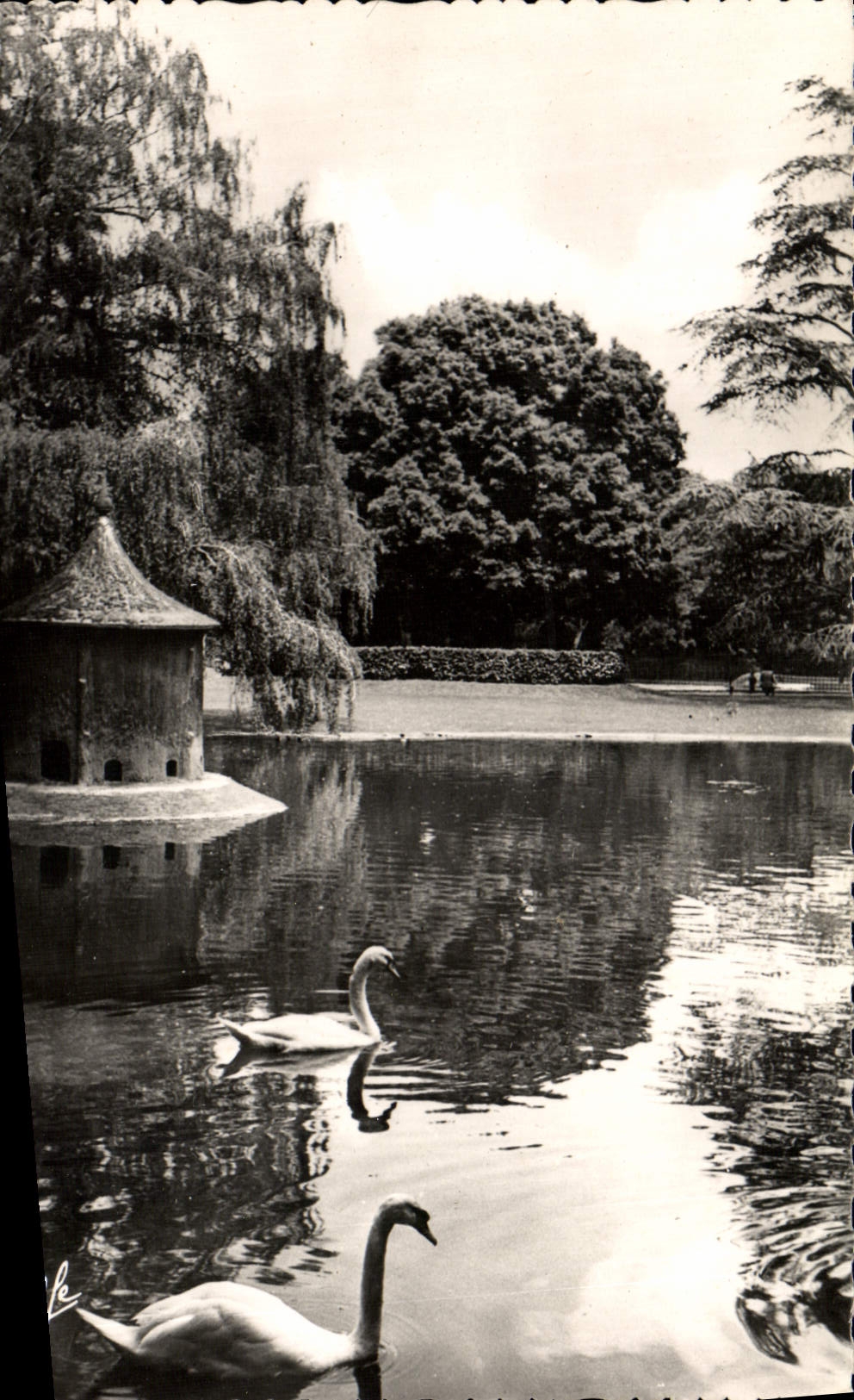 CPM Toulouse Le Jardin Royal Cygnes
