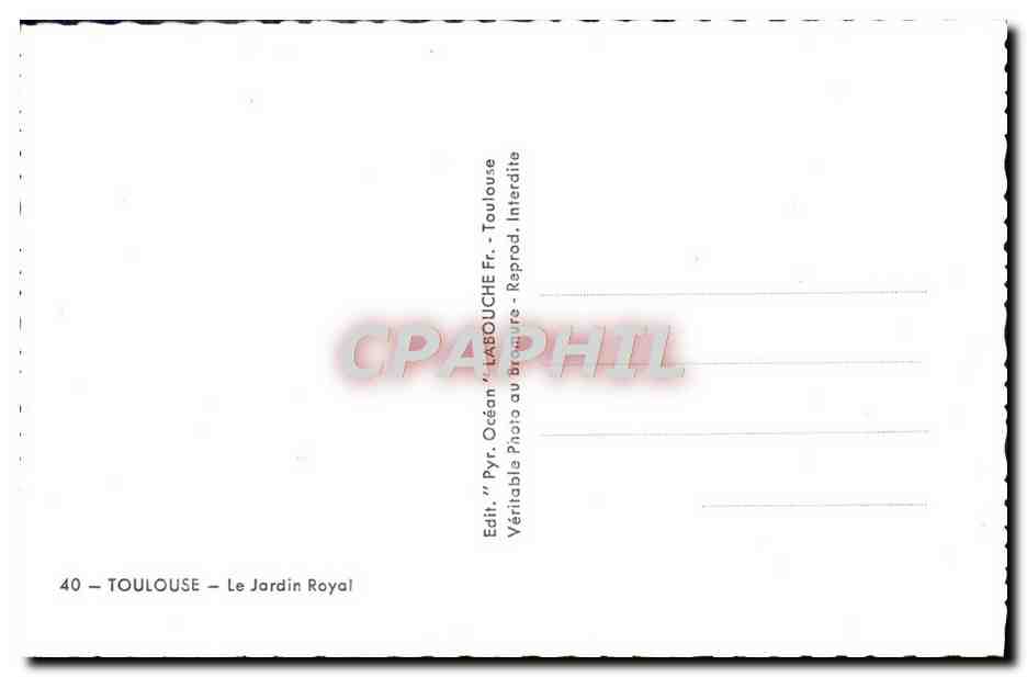 CPM Toulouse Le Jardin Royal Cygnes — Verso