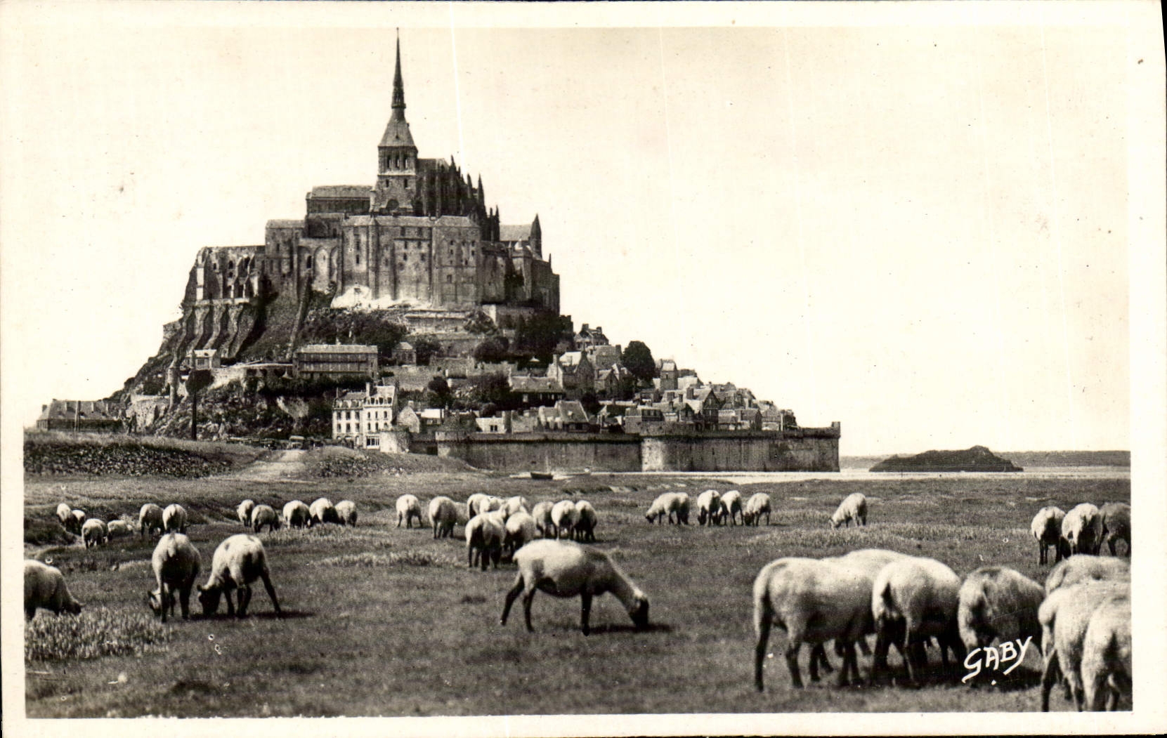 CPM Le Mont Saint Michel Moutons 