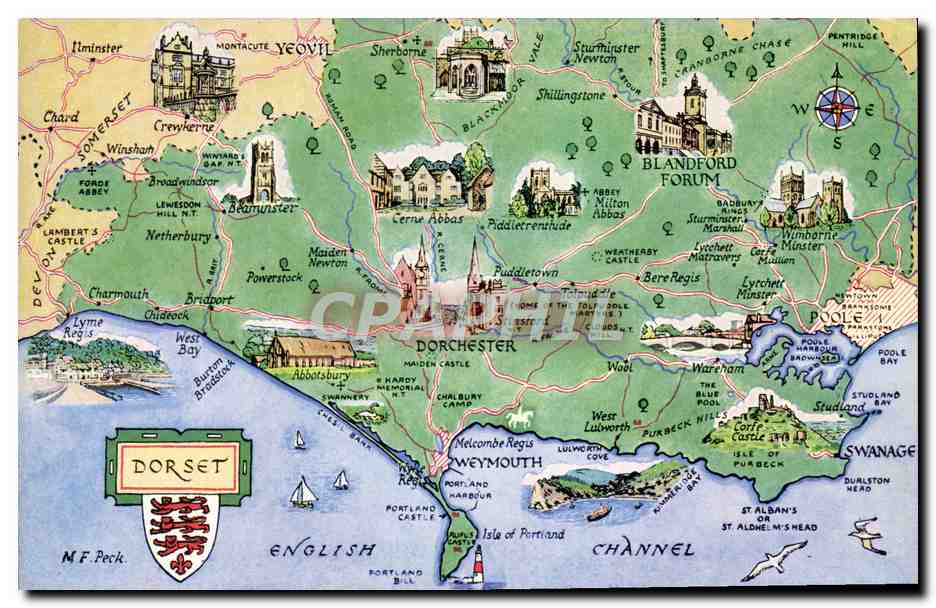 CPM Dorset