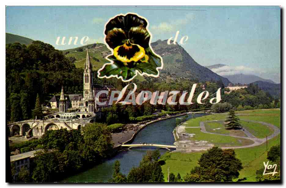 CPM Une fleur De Lourdes