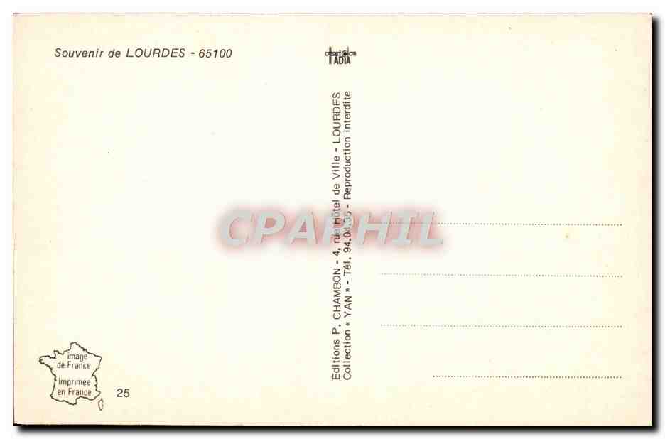 CPM Une fleur De Lourdes — Verso