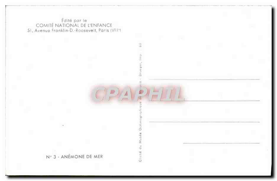 CPM Comite National De l'Enfance Avenue Franklin Roosevelt Paris Anemone de mer — Verso