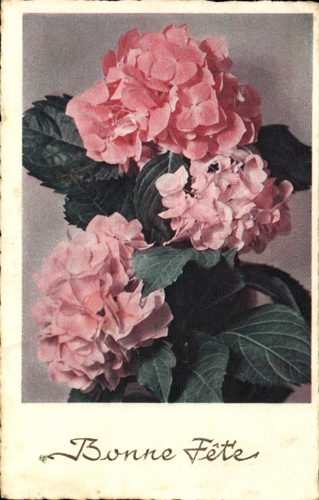 CPA Bonne Fete Fleurs