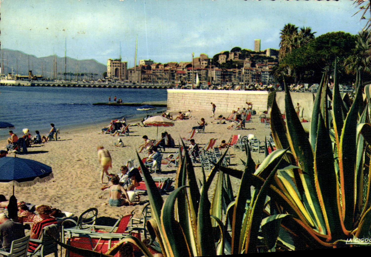 CPM Cannes Vue Sur la Plage et le Suquet