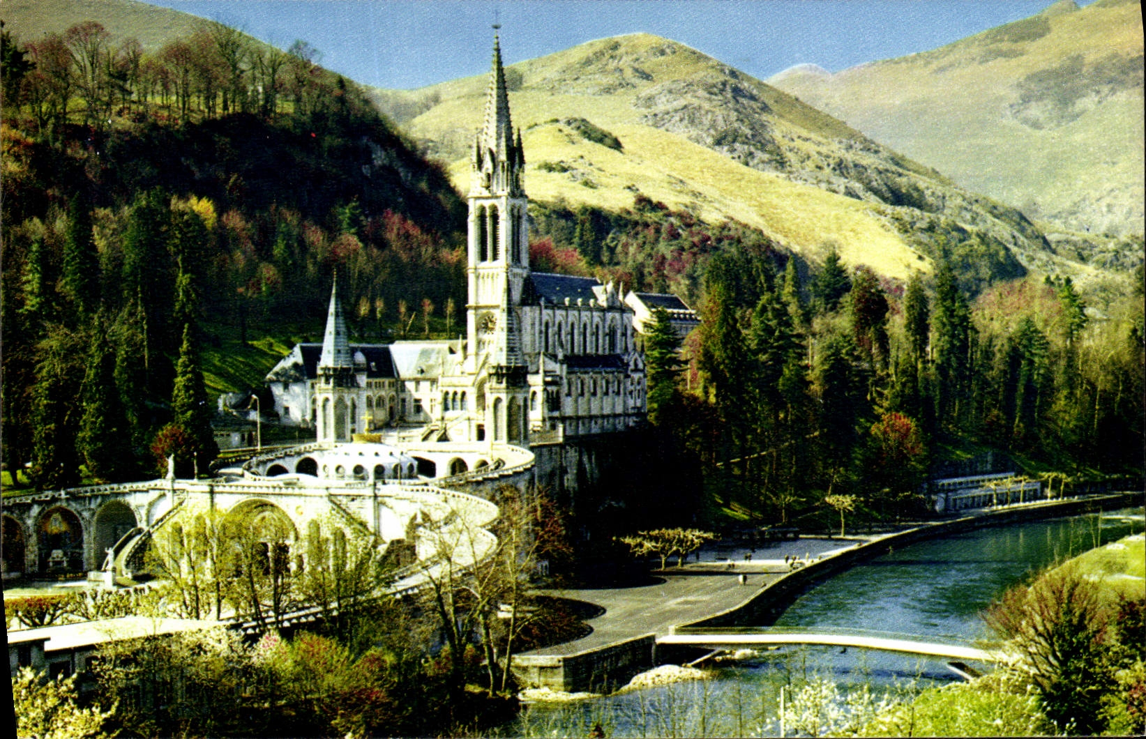 CPM Lourdes La Basilique le Gave et un des Deux nouveaux ponts