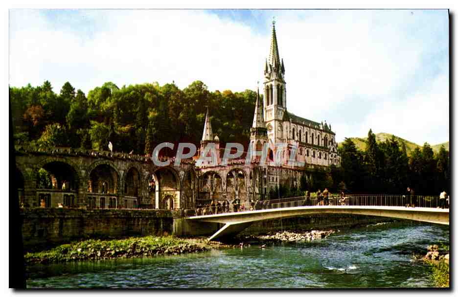CPM Lourdes Le Basilique et le Gave