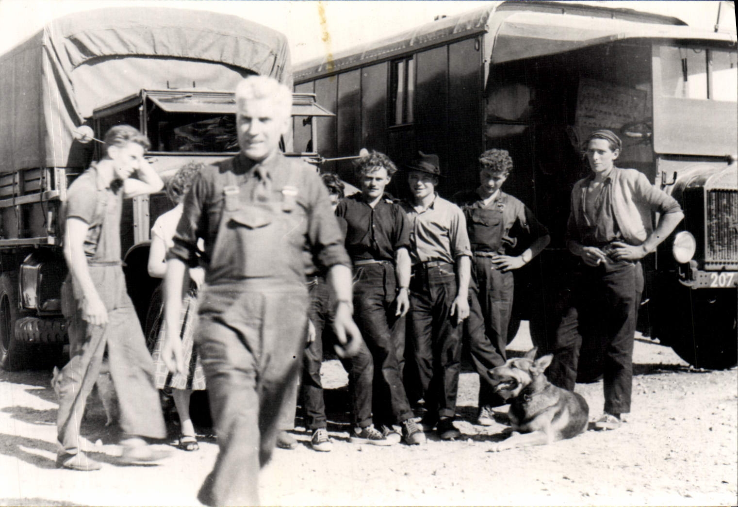 Photo Camions Chien Conducteurs