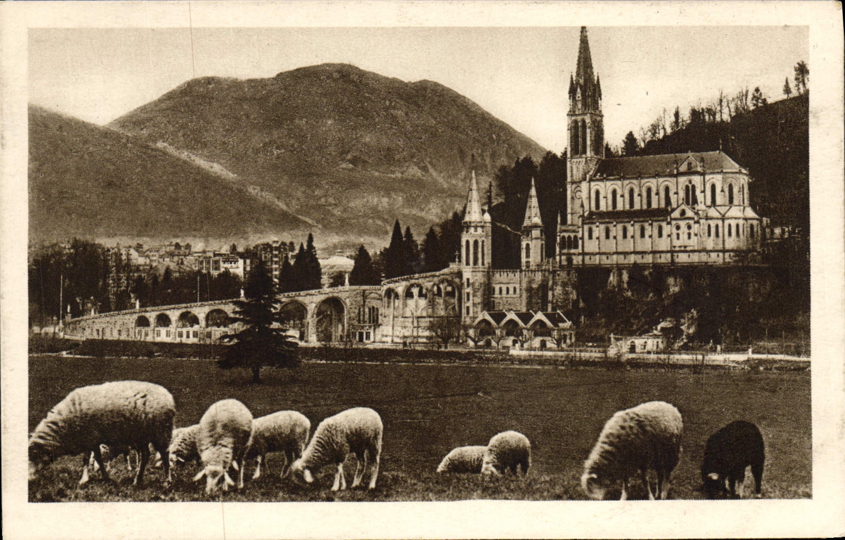 CPA Lourdes La Basilique et le Pic Du Jer Moutons