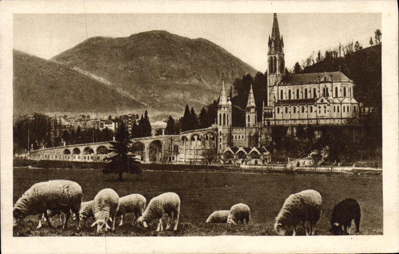 CPA Lourdes La Basilique et le Pic Du Jer Moutons