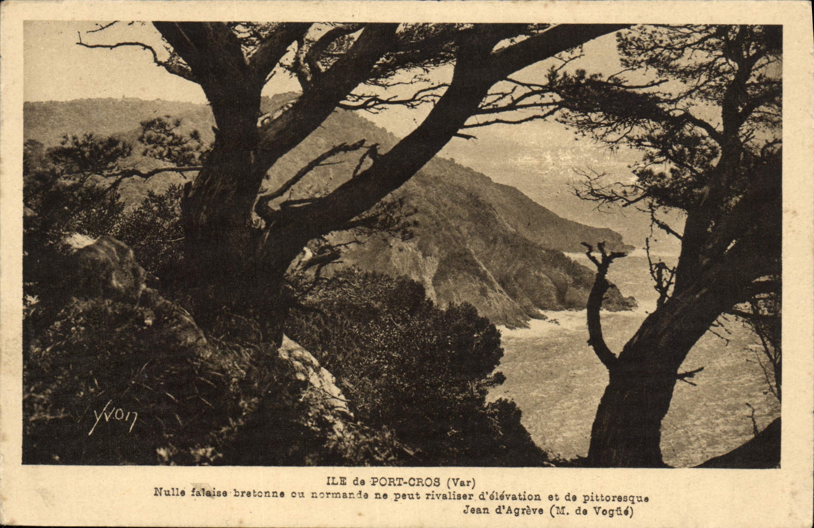 Ile de Port-Cros (Var) — vue pittoresque avec falaise — éditeur Yvon, n°19
