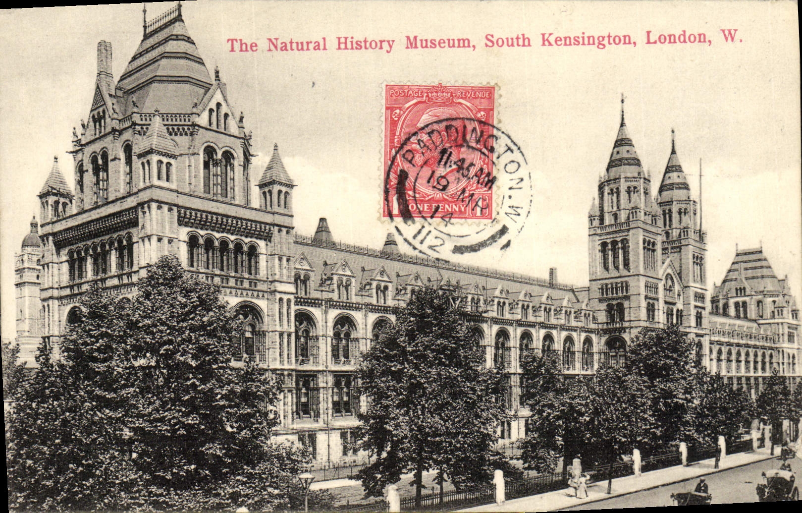 CPA London The Natural History Museum South Kensington 