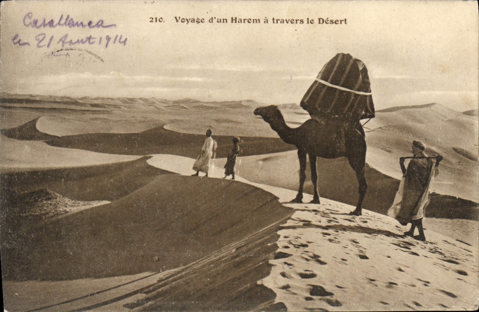 CPA Voyage d'un harem a travers le desert Chameau 