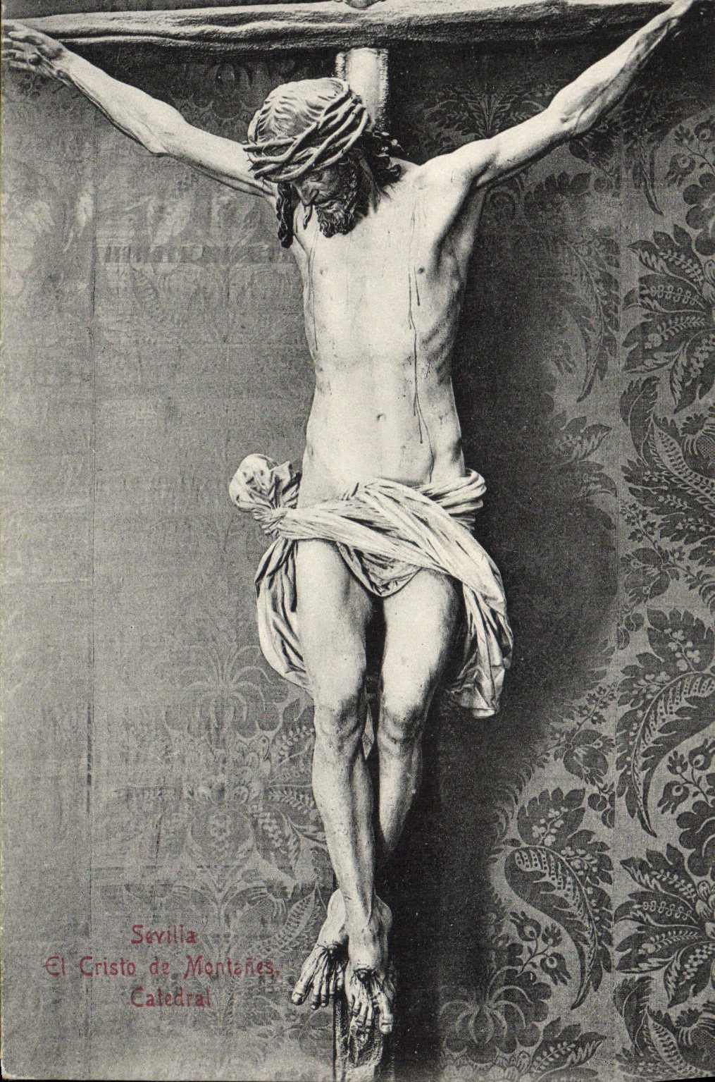 CPA Sevilla El Cristo De Montanes Catedral