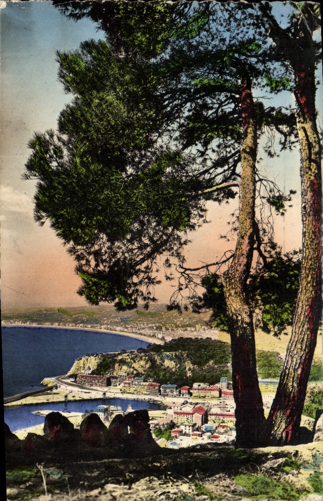 CPM La Cote d'Azur Nice Echappee Sur Le Port Et La Ville Depuis Le Mont Boron