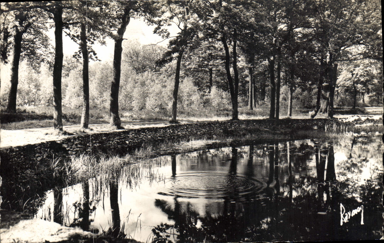 CPM Brunoy La Mare au Capitaine En Foret De Senart