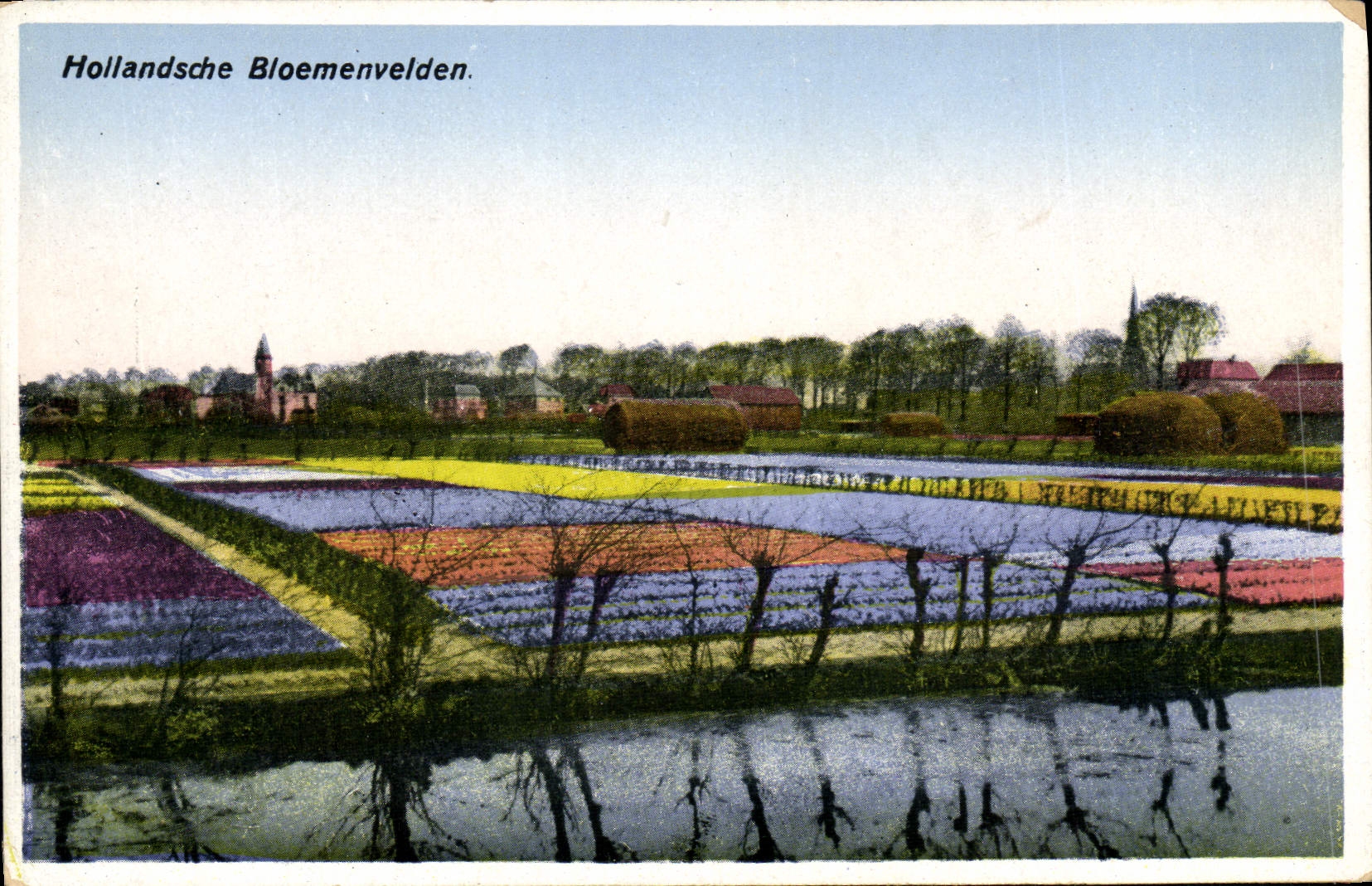 CPA Hollandsche Bloemenvelden