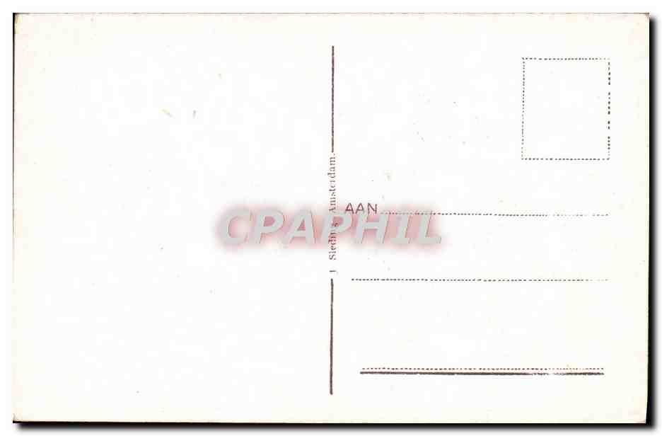 CPA Hollandsche Bloemenvelden — Verso
