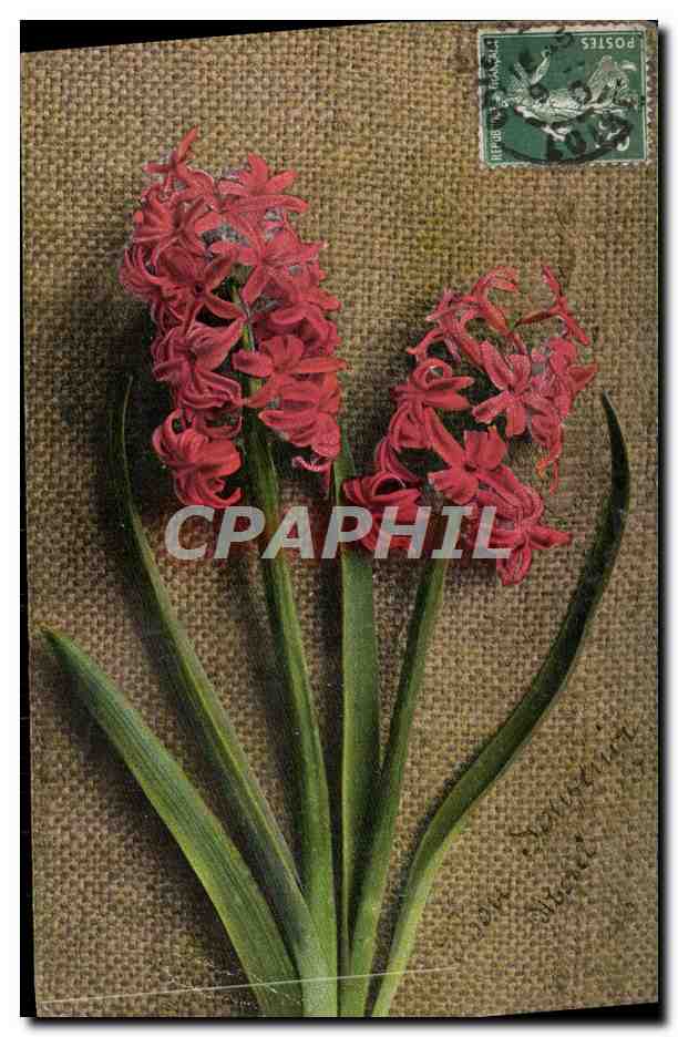 CPA Bonne Annee Fleurs 