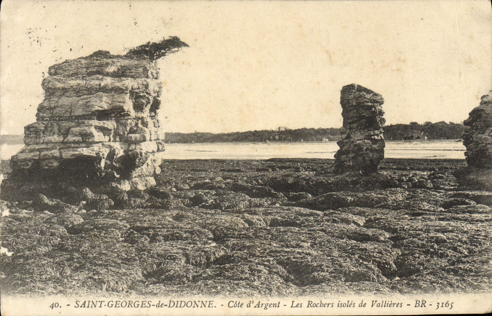 Saint-Georges-de-Didonne — Côte d'Argent — Les Rochers isolés de Vallières — BR-3165