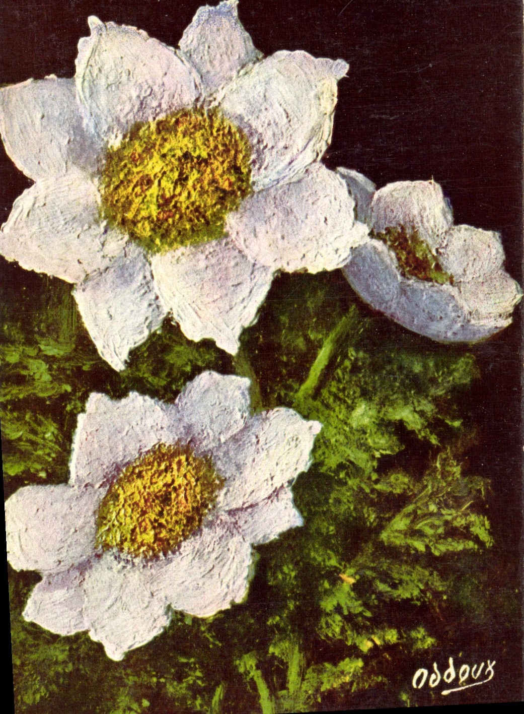 CPA Fleur Anemone Alpena