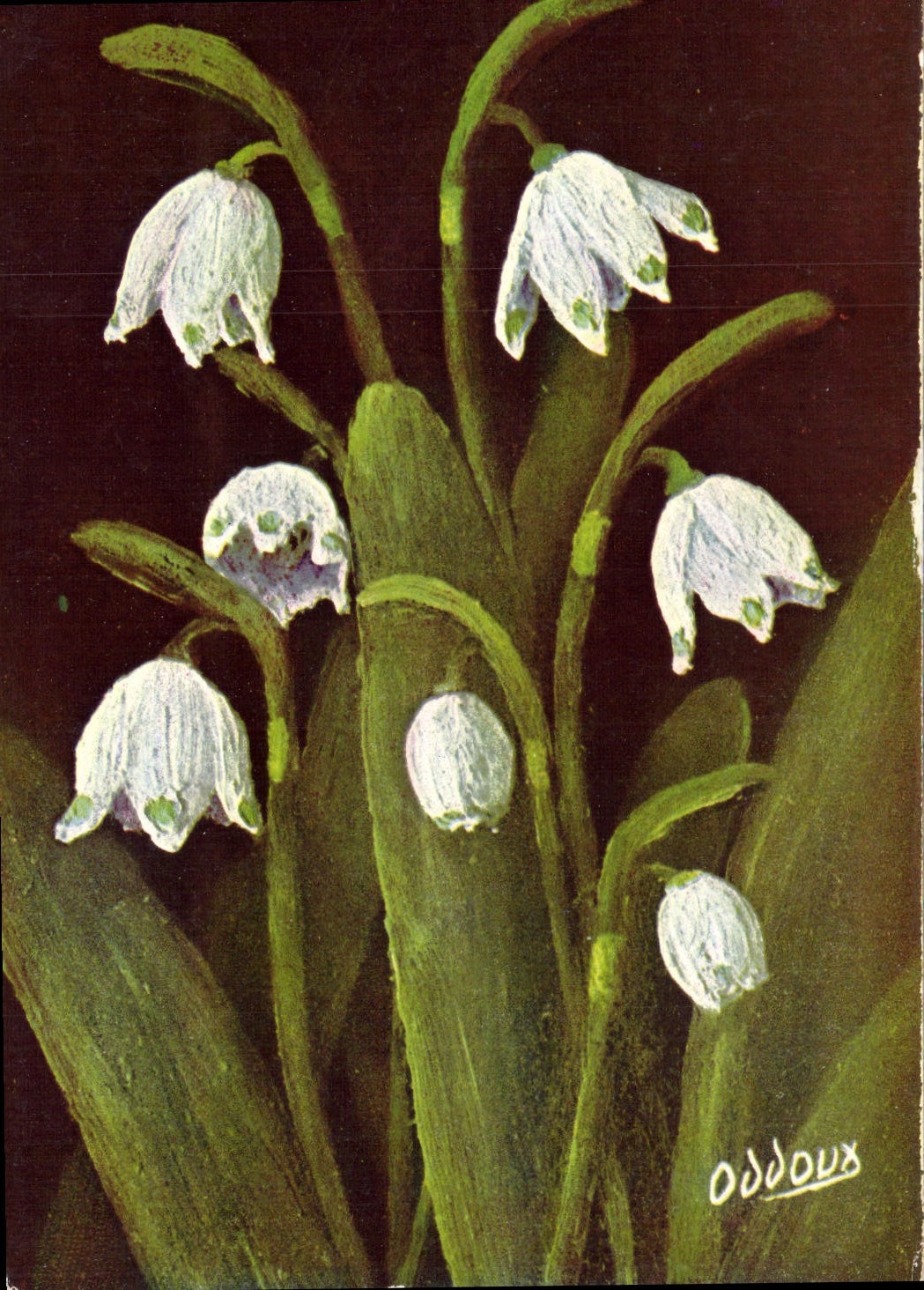 CPA Galanthus Nivalis Perce Neige Fleur 