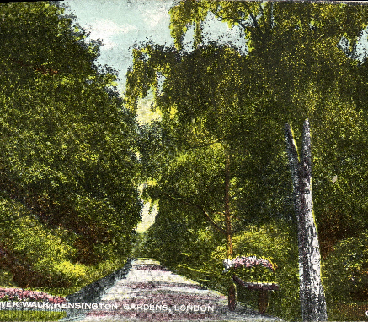 CPA The flower Walk Kensington Gardens London