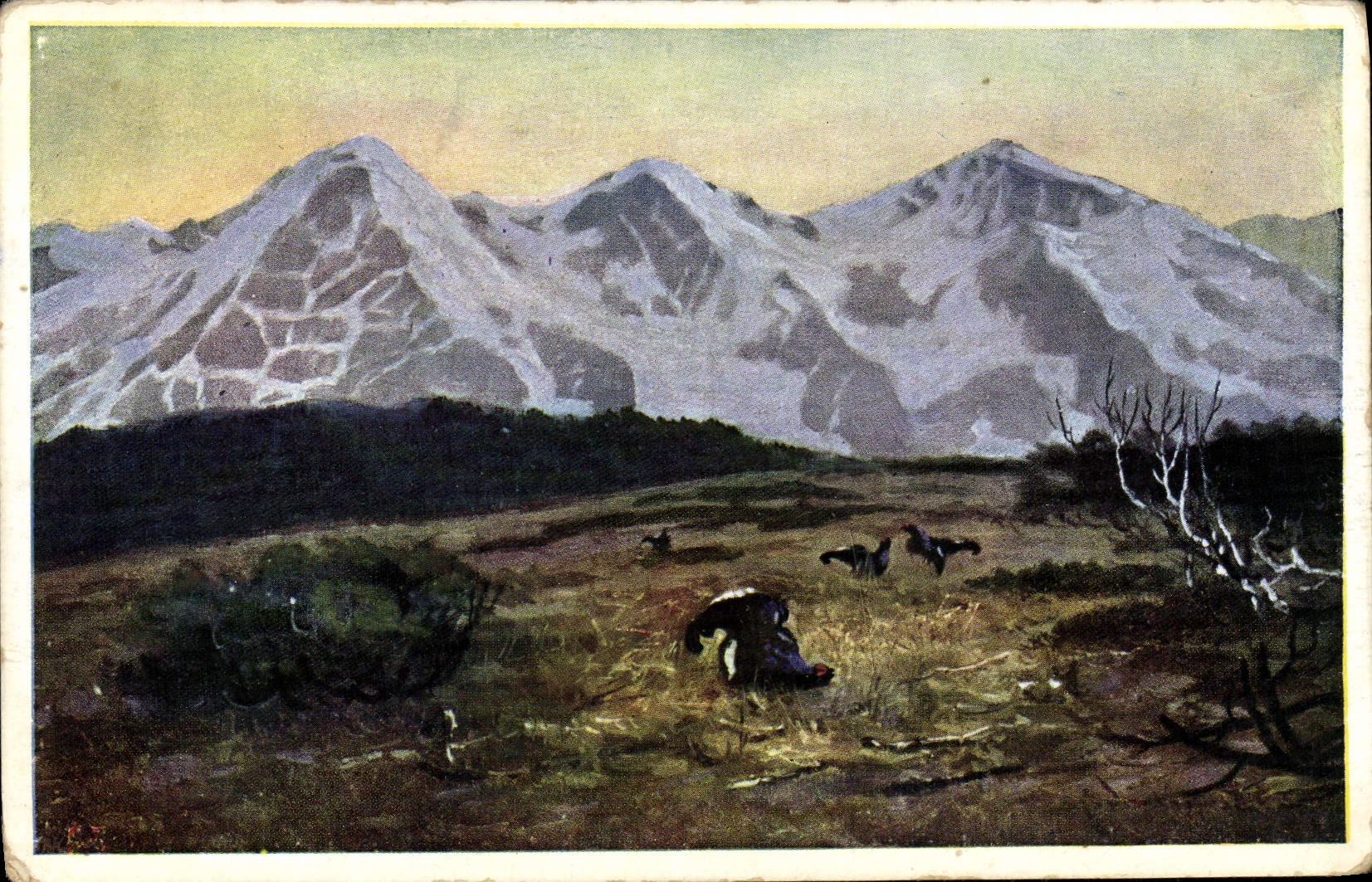 Vintage Postcard Alpages