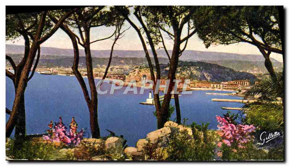 CPA Nice Vue Entre les Pins