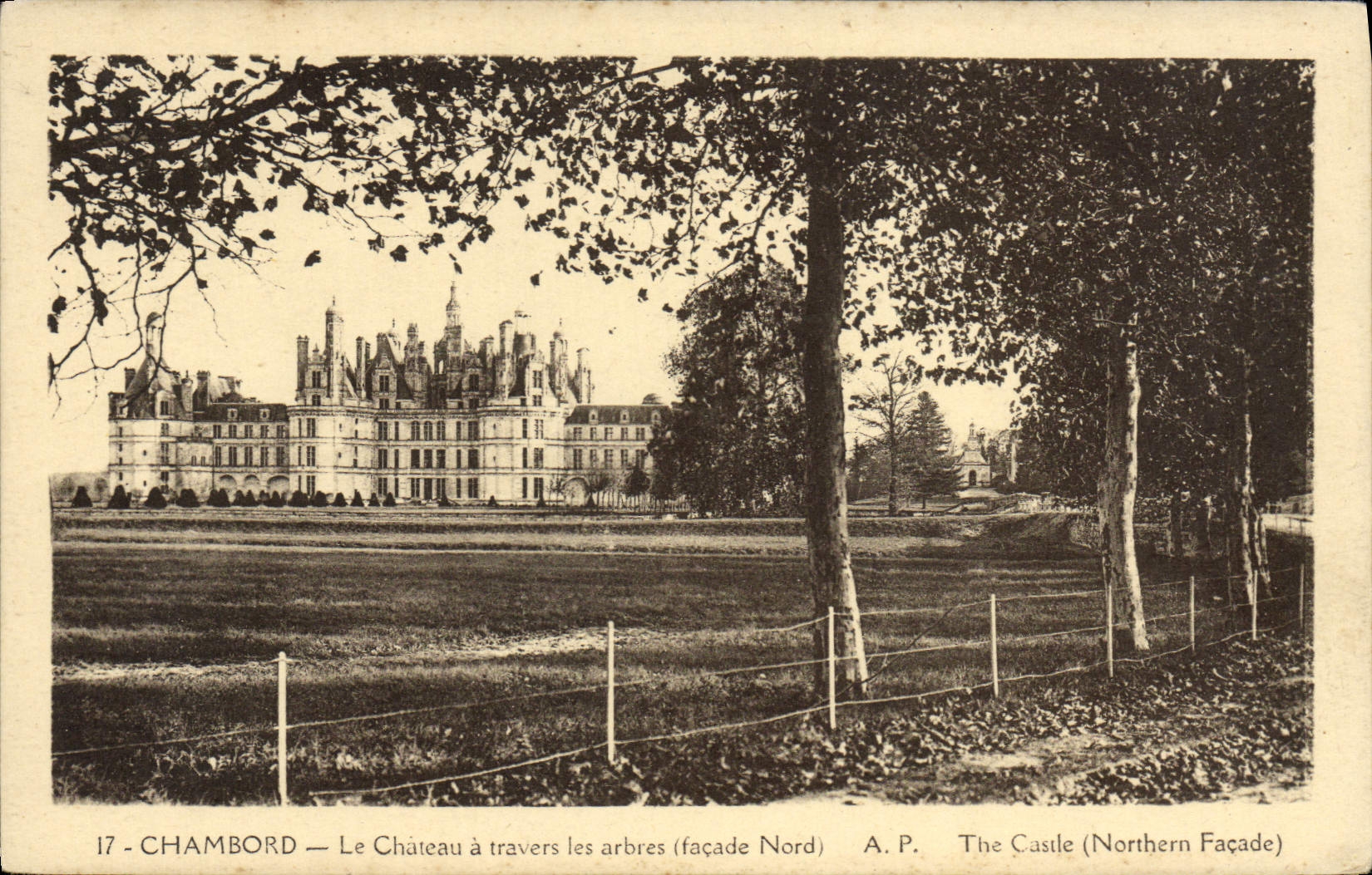 CPA Chateau de Chambord Le Chateau a Travers les Arbres