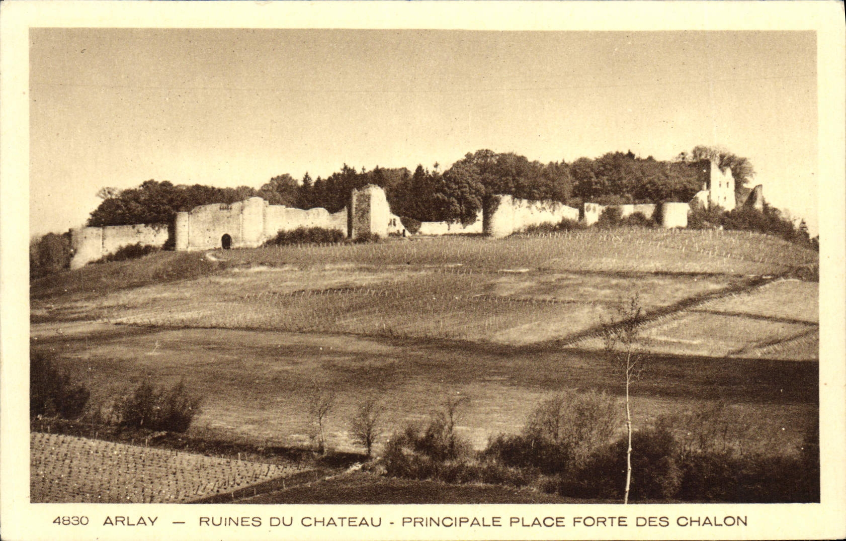 CPA Arlay Ruines Du Chateau Principale Place Forte Des Chalon