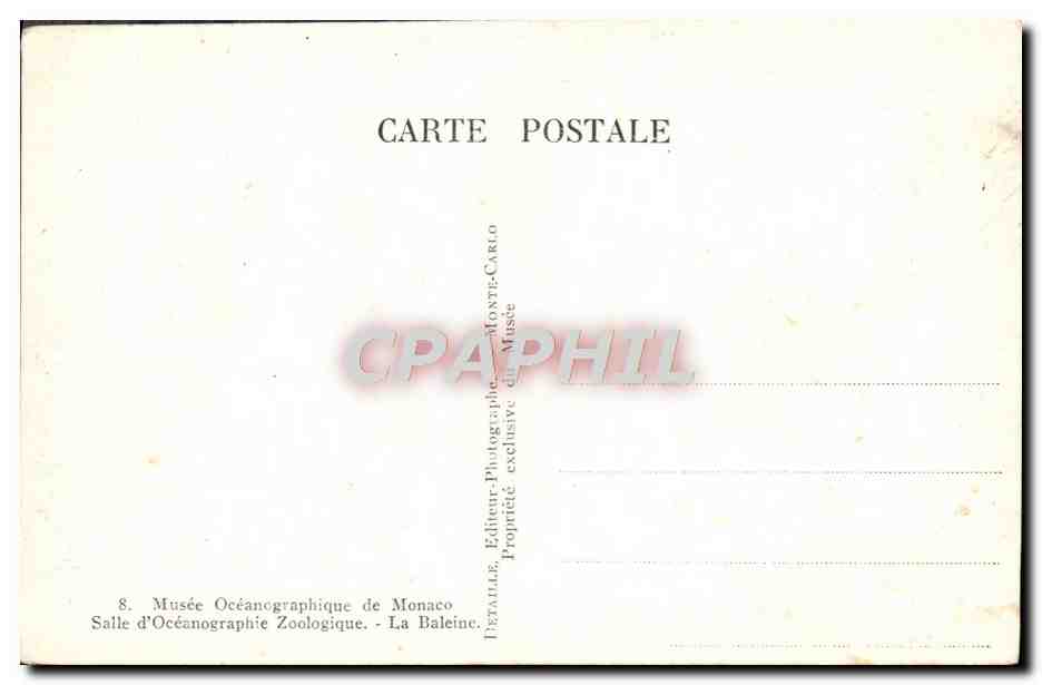 CPM Musee Oceanographique de Monaco La baleine Zoo dauphin Espadon Araignee de mer — Verso