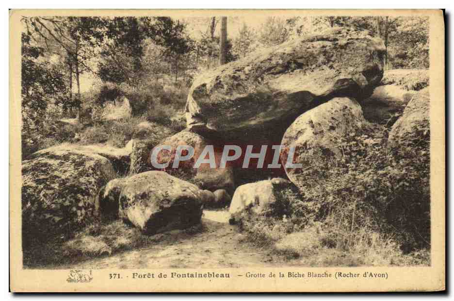 Forêt de Fontainebleau — Grotte de la Biche Blanche (Rocher d'Avon) — n° 371