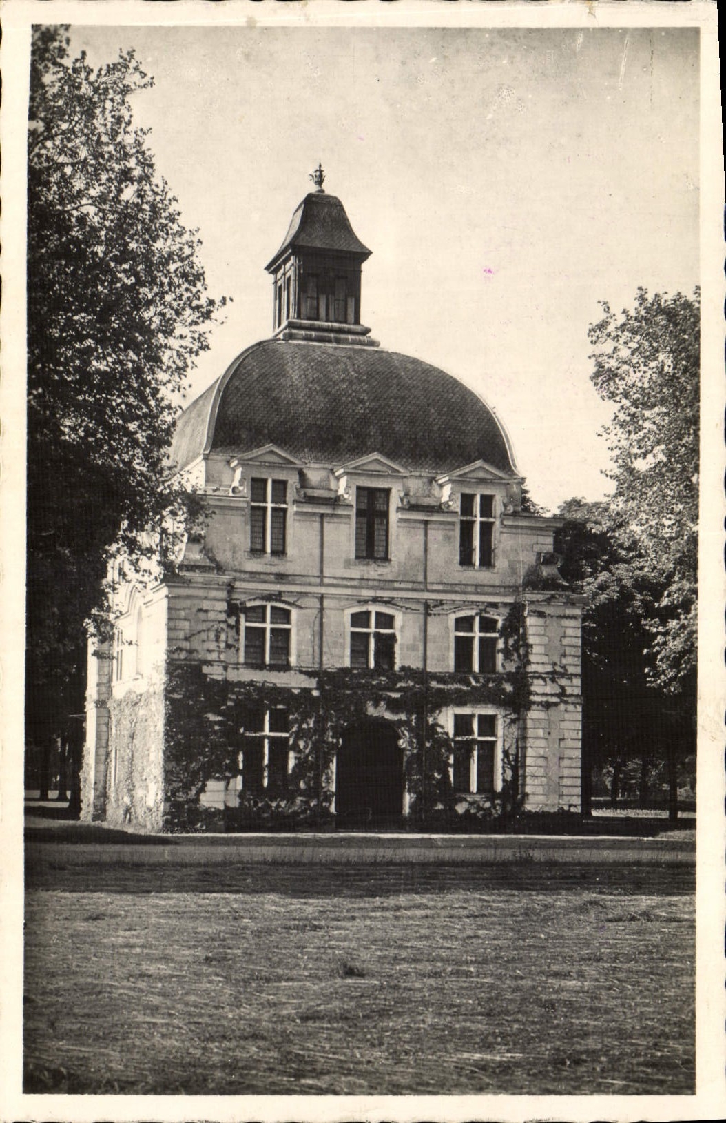 CPM Richelieu Le Dome Seul Rsste des batiments du Chateau de Richelieu