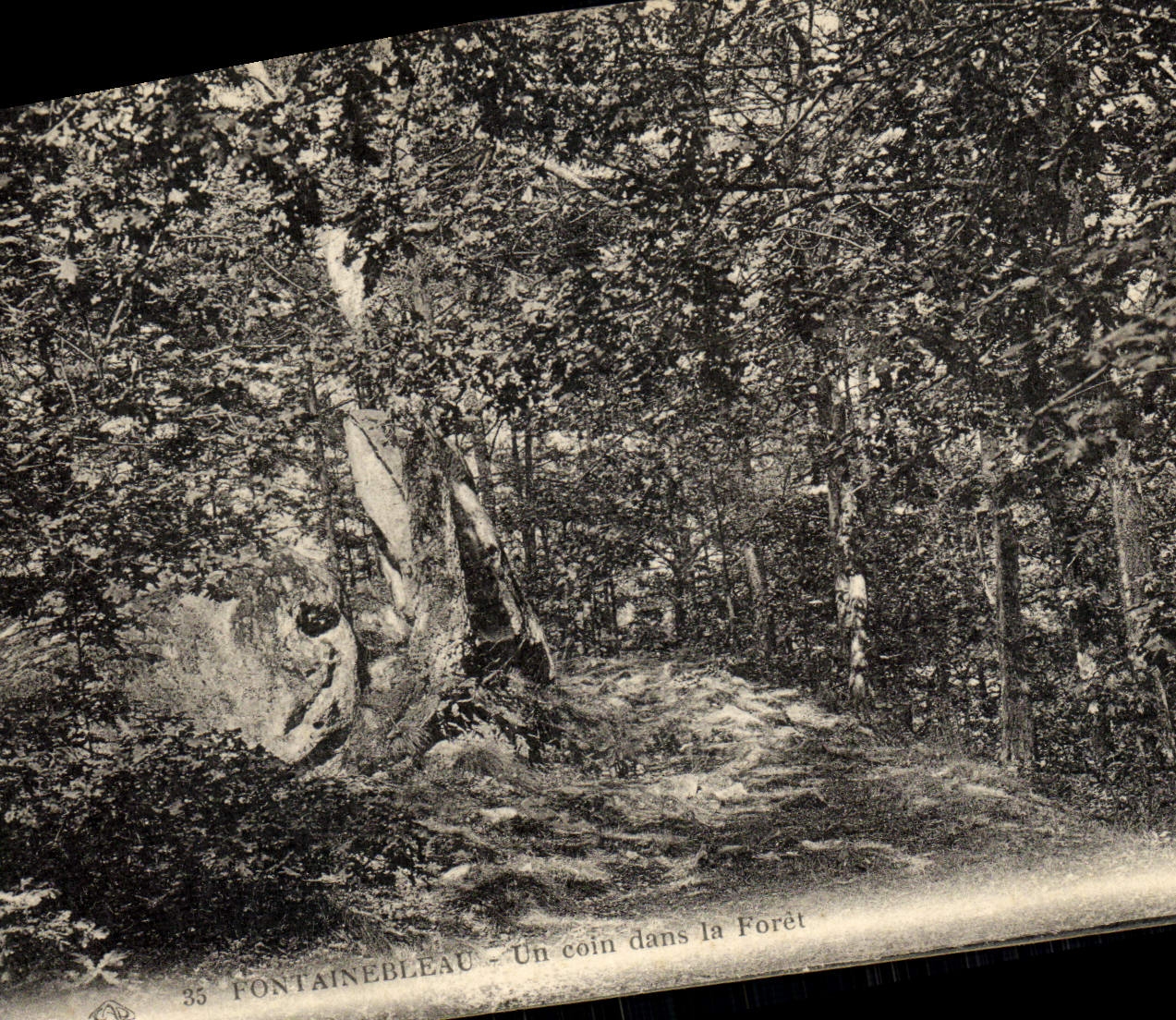 Fontainebleau - Un coin dans la Forêt — éditeur Alsaacienne des Arts décoratifs