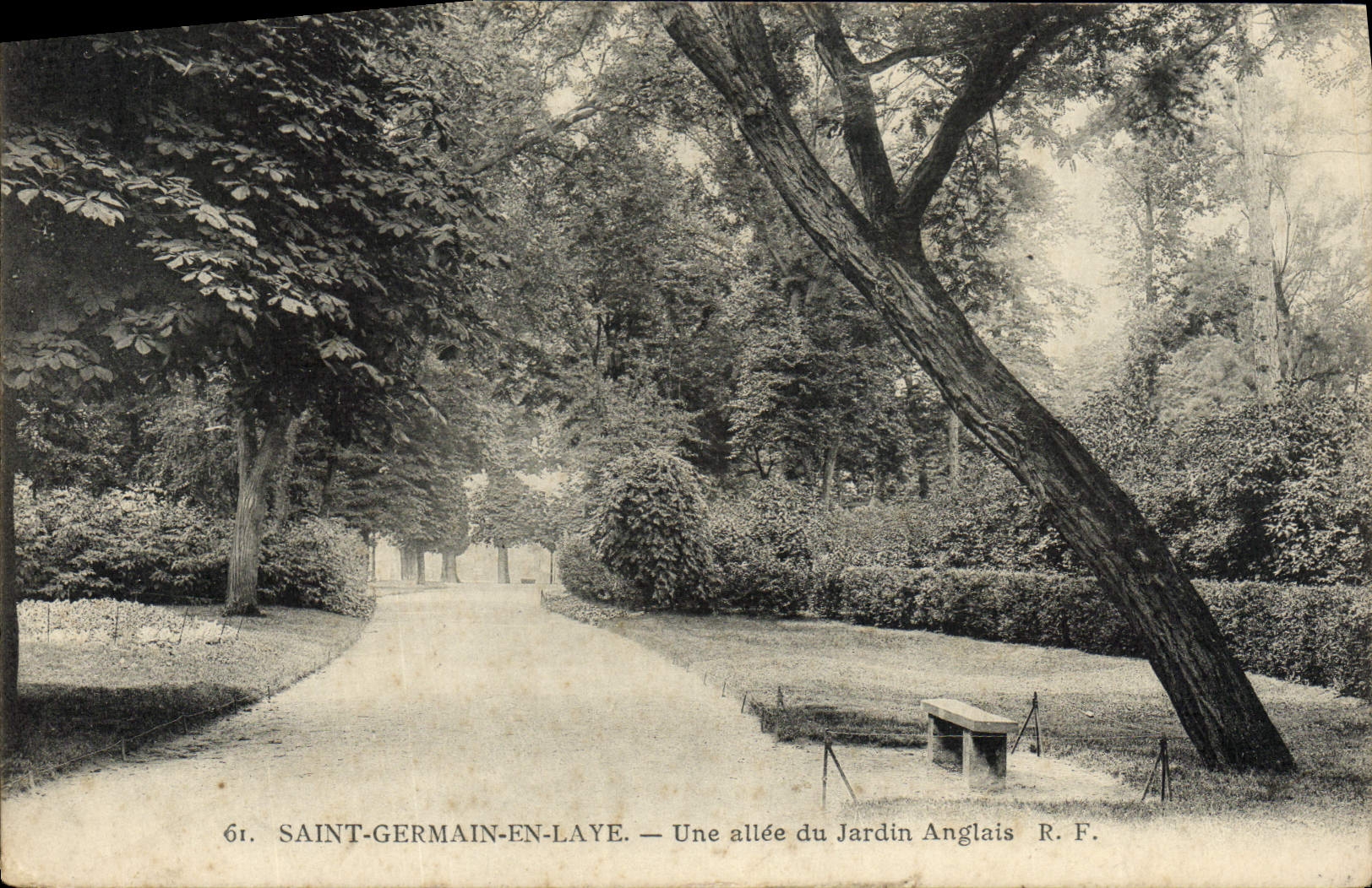 Saint-Germain-en-Laye — Une allée du Jardin Anglais — R.F.