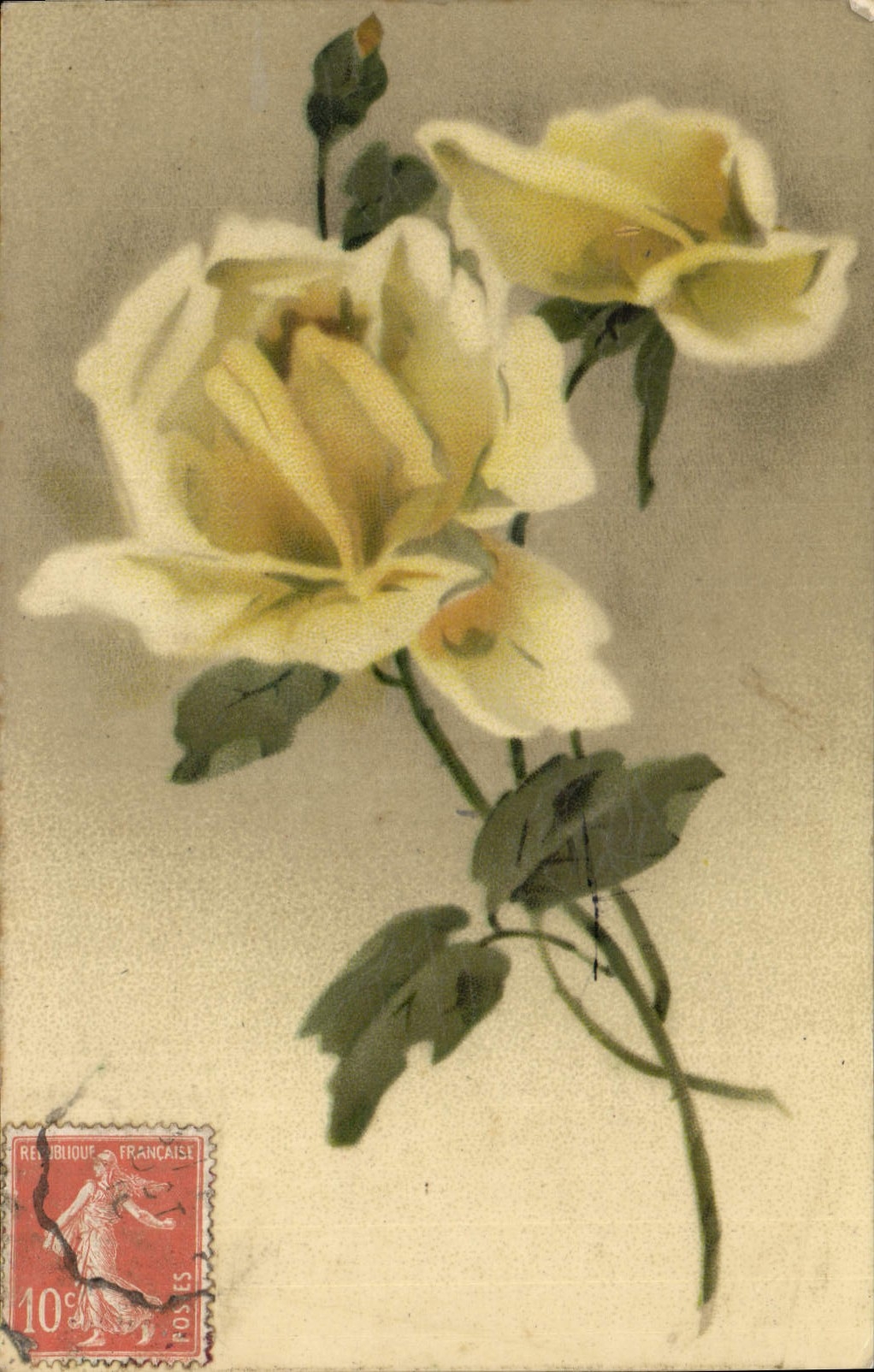 CPA Fleurs 