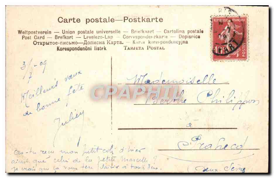 CPA Daniel Sherrin Moutons — Verso