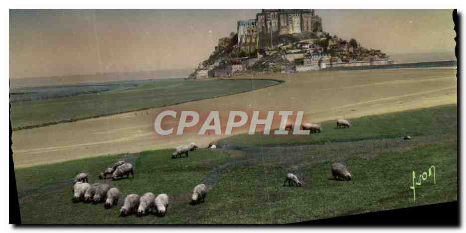 Le Mont Saint-Michel — Vue générale et le Coursnon — Les Éditions d'Art, n° 2643