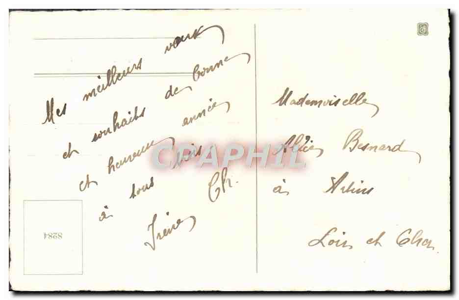 CPA Bonne Annee Fleurs — Verso
