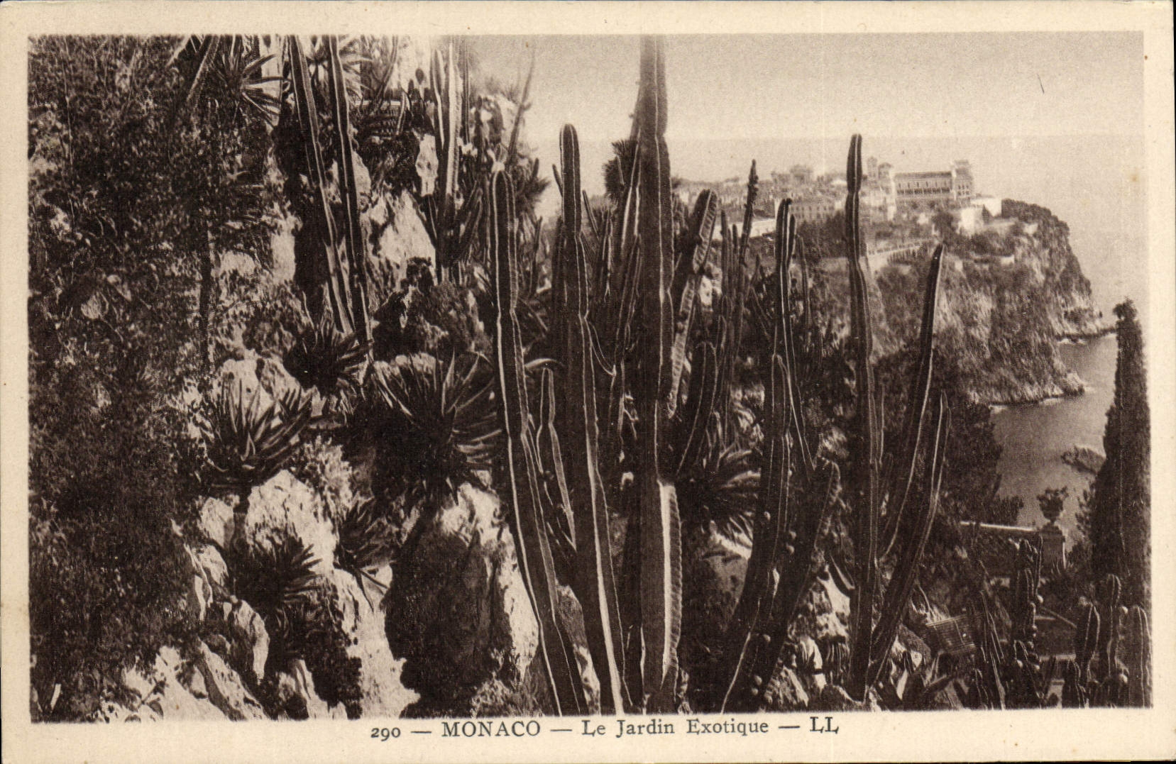 CPA Monaco Le Jardin Exotique