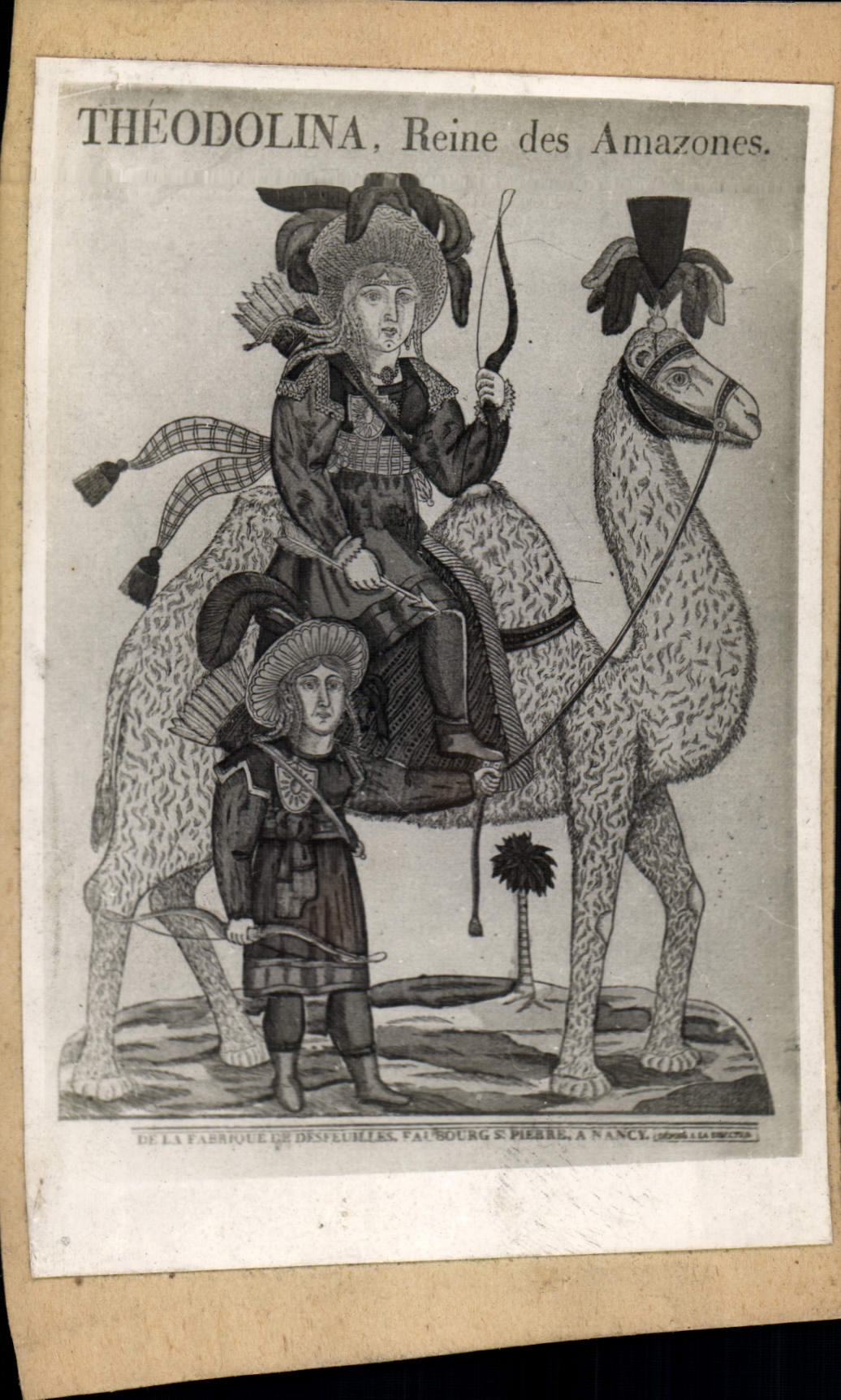 Image Theodolina Reine des amazones Chameau