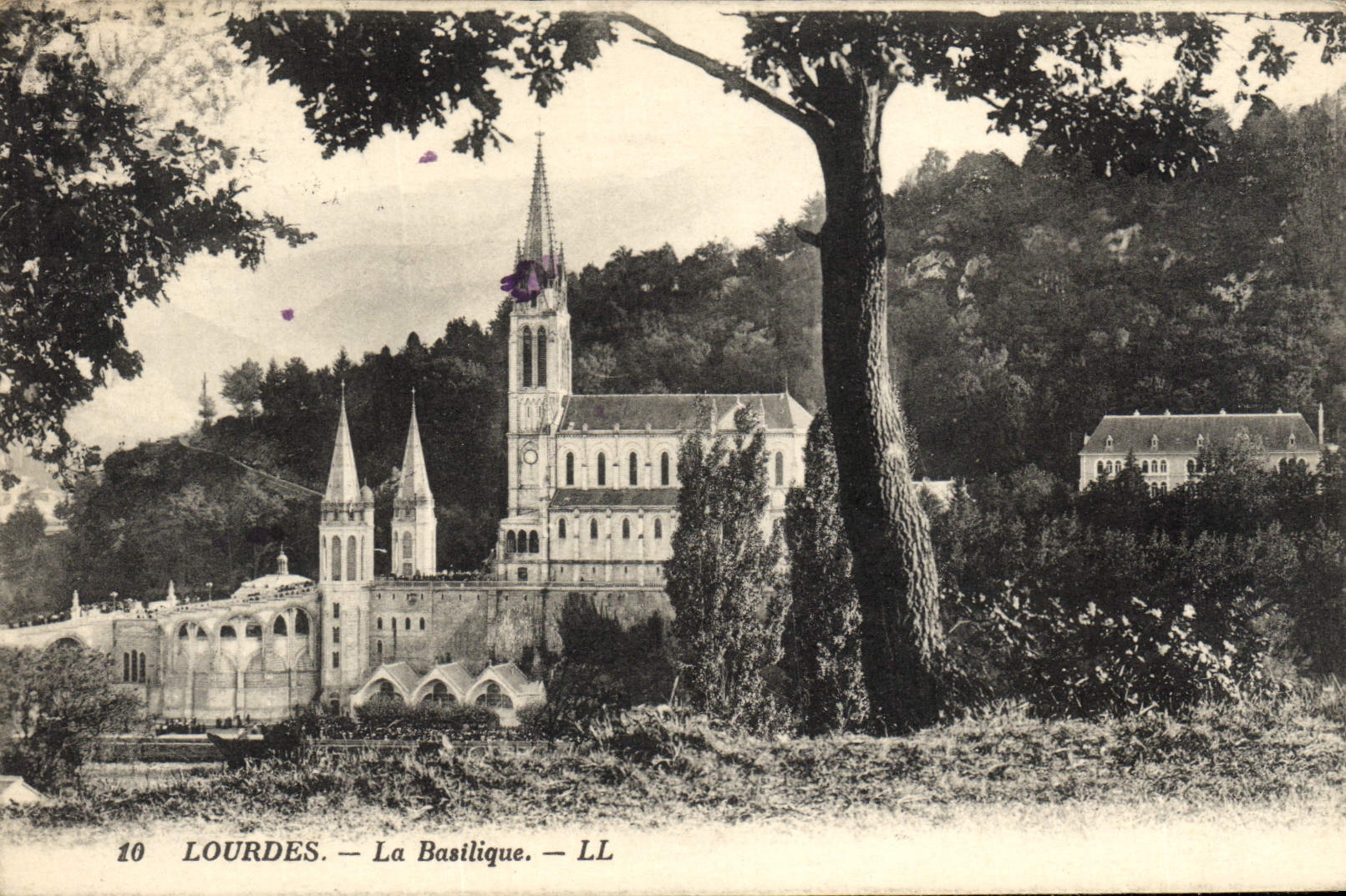 CPA Lourdes La Basilique