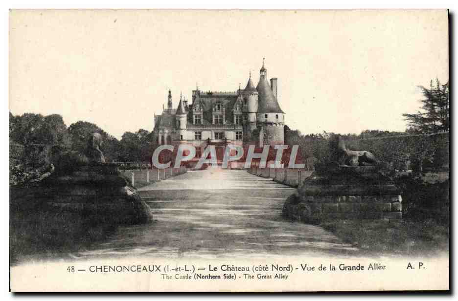 CPA Chanonceaux Le Chateau Vue De La Grande Allee