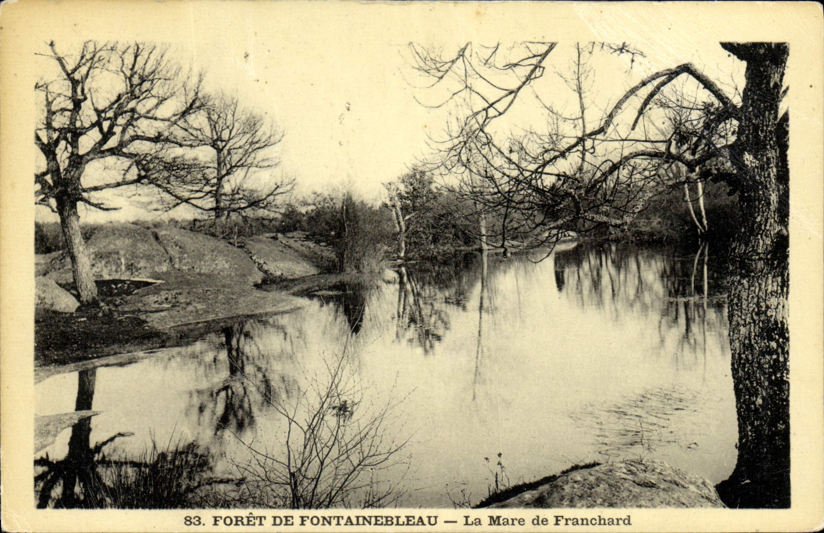 Forêt de Fontainebleau — La Mare de Franchard — n°83